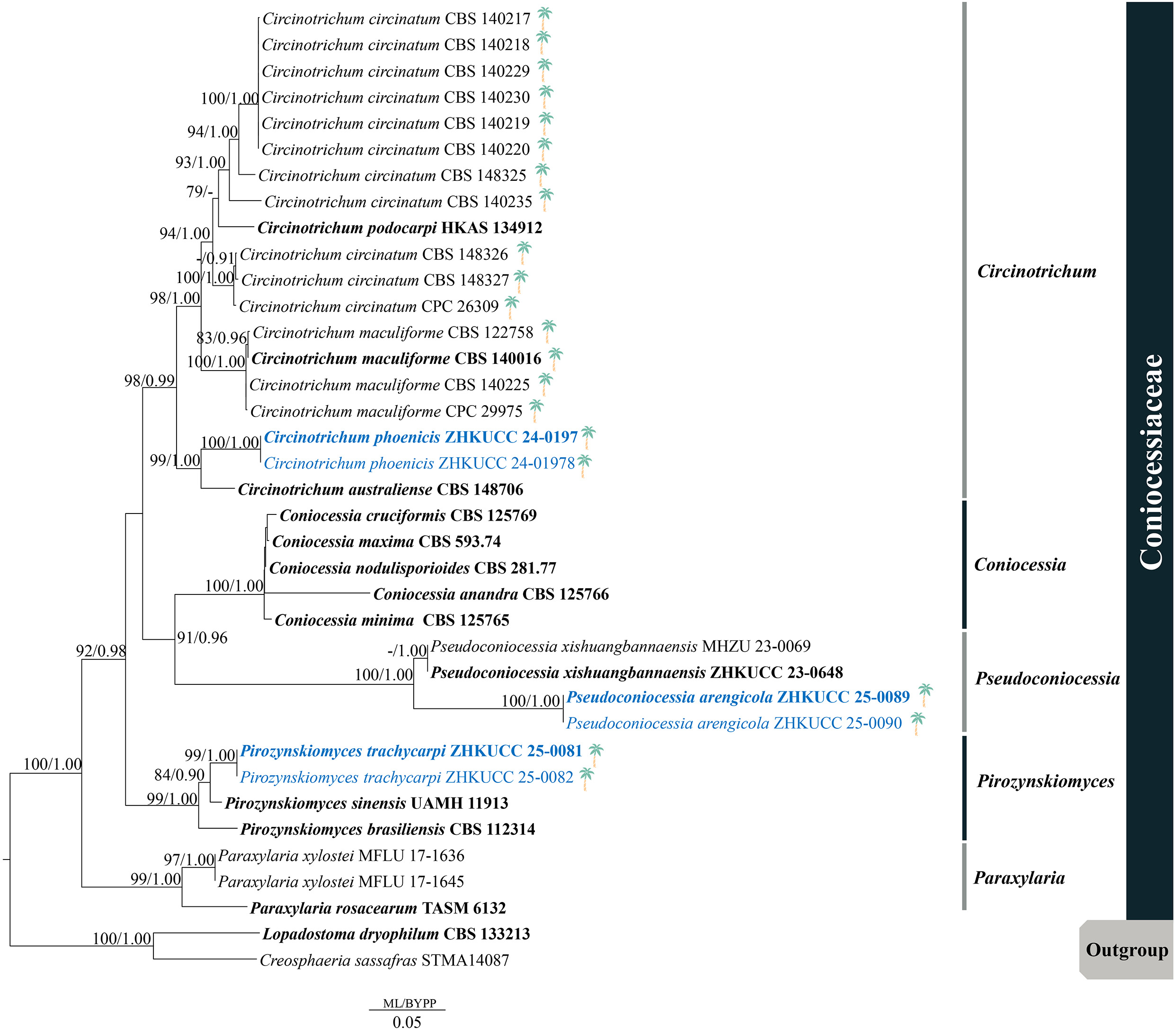 Figure 113